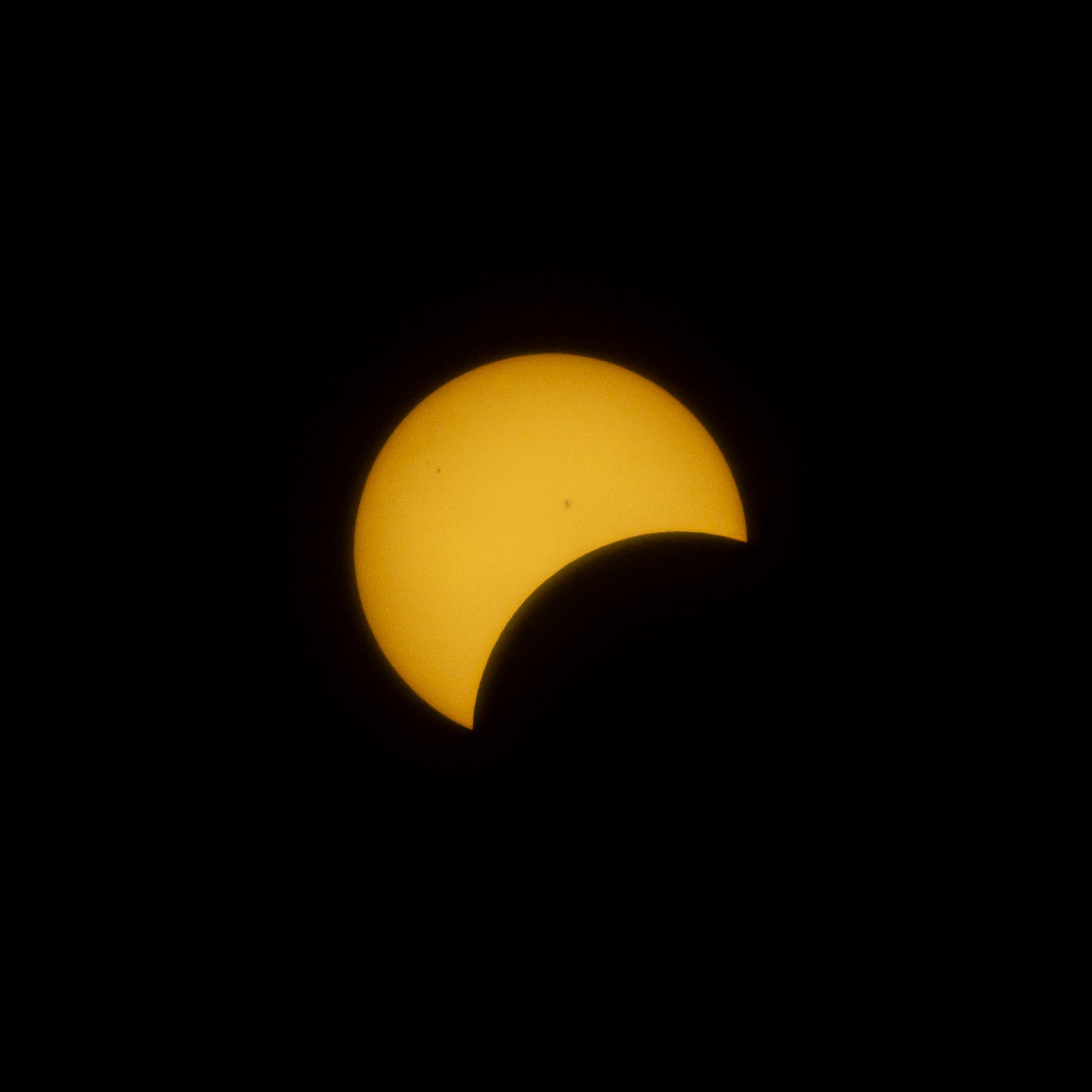 Filtered Crescent, Holliday Park, Indianapolis